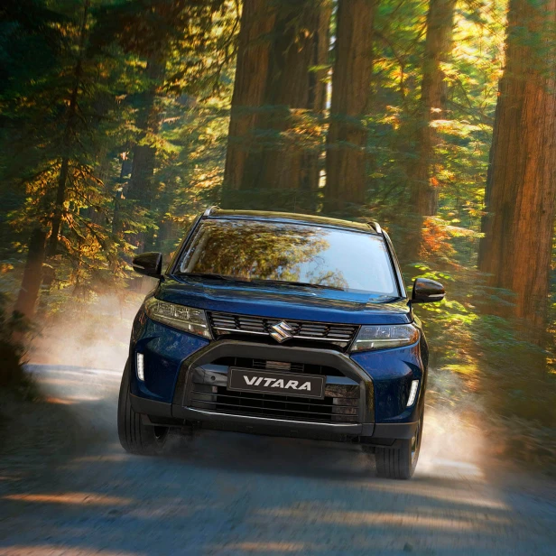 Suzuki Vitara Blå